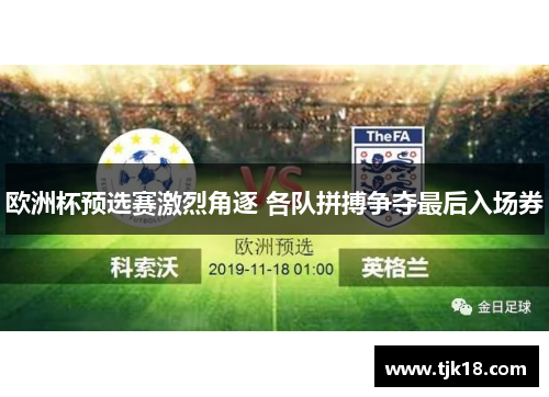 欧洲杯预选赛激烈角逐 各队拼搏争夺最后入场券