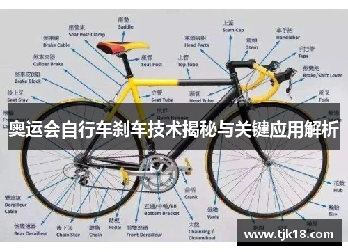 奥运会自行车刹车技术揭秘与关键应用解析